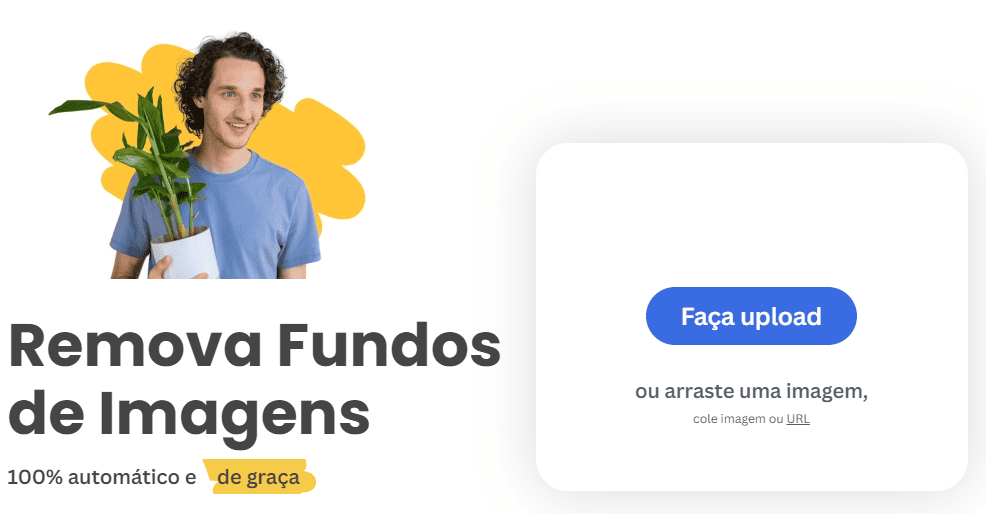 IA Remove BG: Simplificando a Remoção de Fundo em Suas Imagens